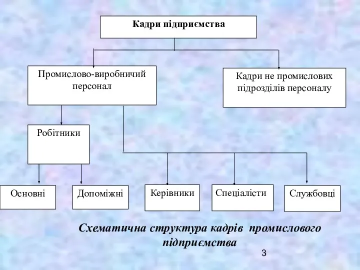 Схематична структура кадрів промислового підприємства