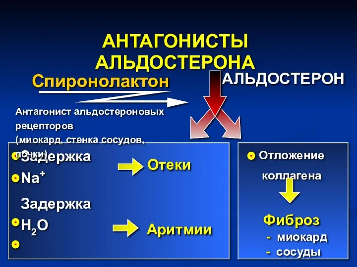 АНТАГОНИСТЫ АЛЬДОСТЕРОНА