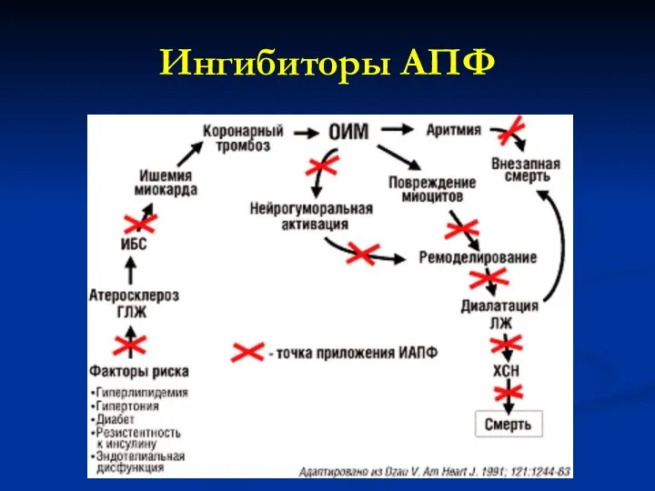 Ингибиторы АПФ