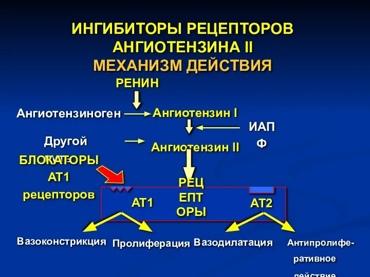 ИНГИБИТОРЫ РЕЦЕПТОРОВ АНГИОТЕНЗИНА II МЕХАНИЗМ ДЕЙСТВИЯ