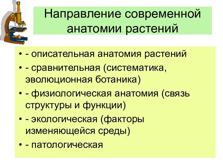 Направление современной анатомии растений - описательная анатомия растений - сравнительная (систематика,