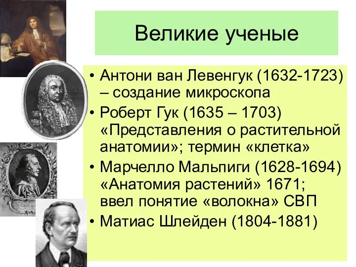 Великие ученые Антони ван Левенгук (1632-1723) – создание микроскопа Роберт Гук