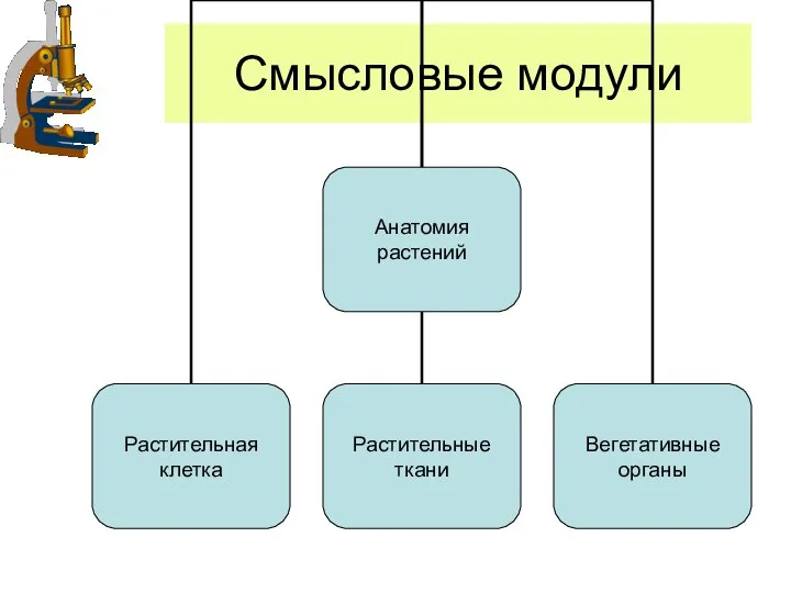 Смысловые модули