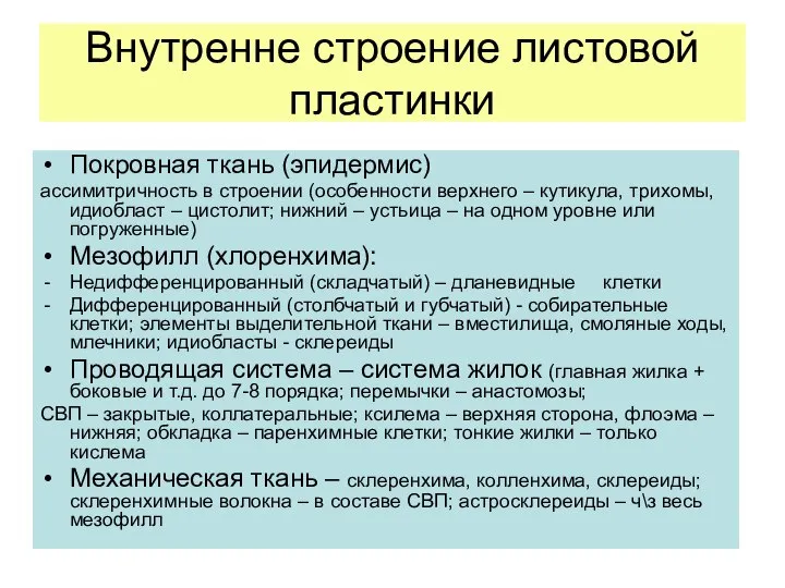 Внутренне строение листовой пластинки Покровная ткань (эпидермис) ассимитричность в строении (особенности