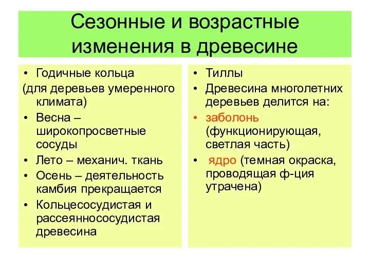 Сезонные и возрастные изменения в древесине Годичные кольца (для деревьев умеренного