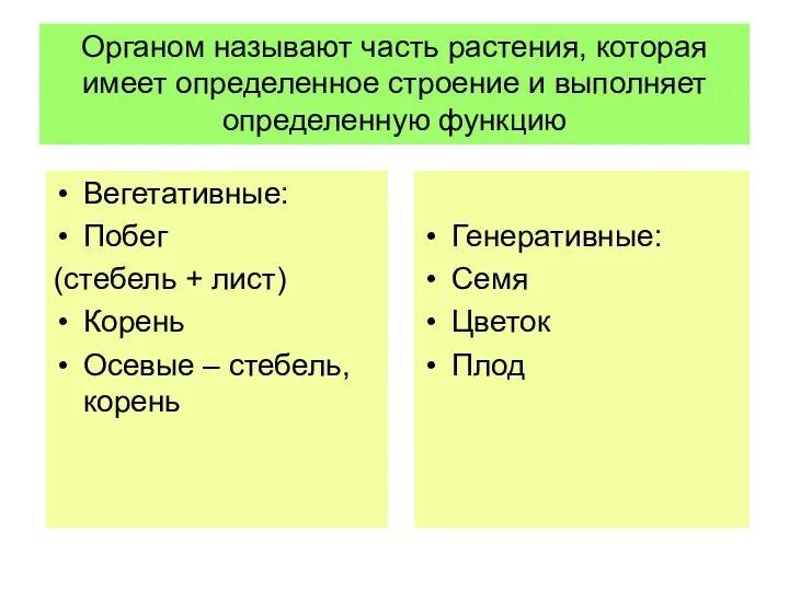 Органом называют часть растения, которая имеет определенное строение и выполняет определенную