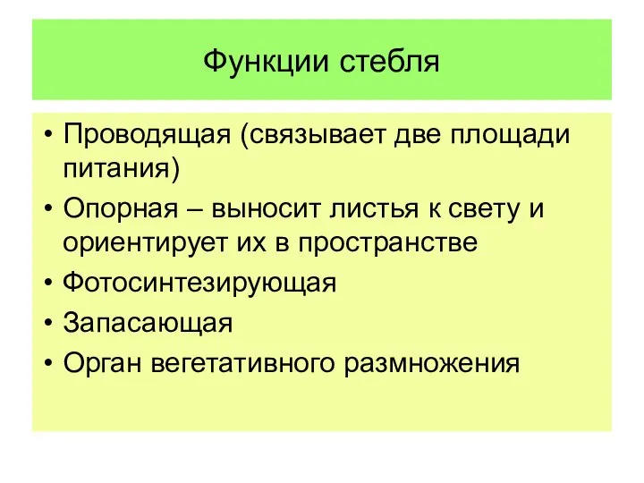 Функции стебля Проводящая (связывает две площади питания) Опорная – выносит листья