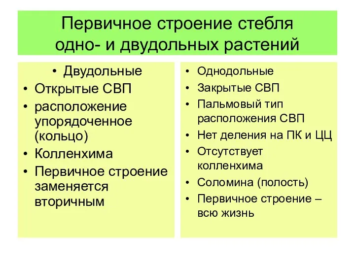 Первичное строение стебля одно- и двудольных растений Двудольные Открытые СВП расположение