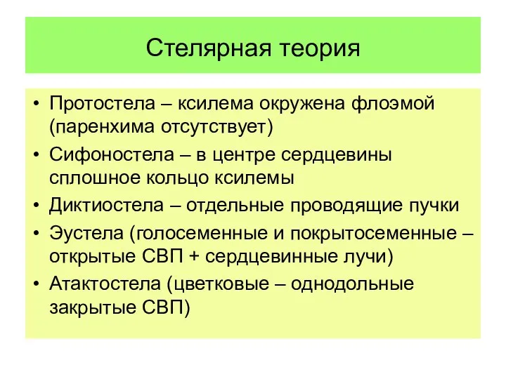 Стелярная теория Протостела – ксилема окружена флоэмой (паренхима отсутствует) Сифоностела –