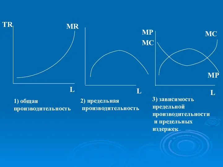 MR L TR L L MP MC MC MP 1) общая