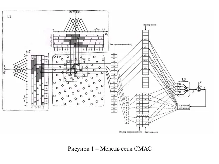 Рисунок 1 – Модель сети СМАС