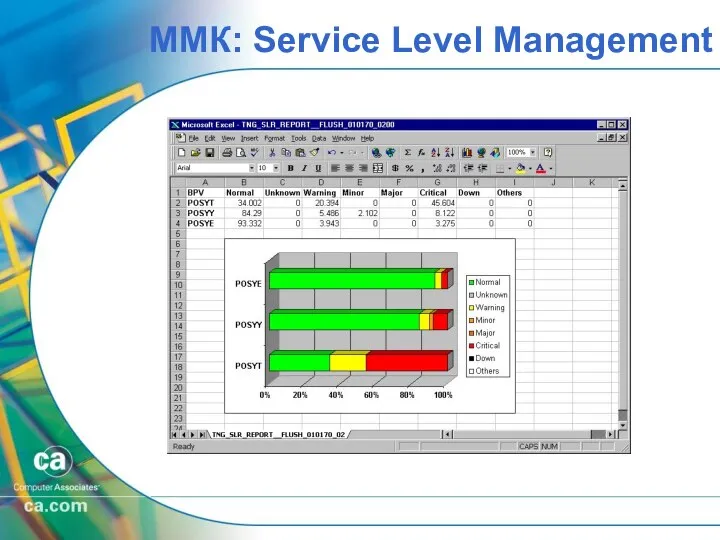 ММК: Service Level Management