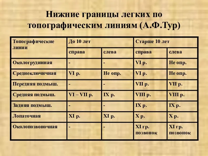 Нижние границы легких по топографическим линиям (А.Ф.Тур)