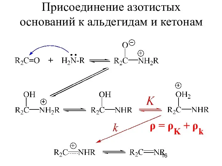 Присоединение азотистых оснований к альдегидам и кетонам ρ = ρK + ρk