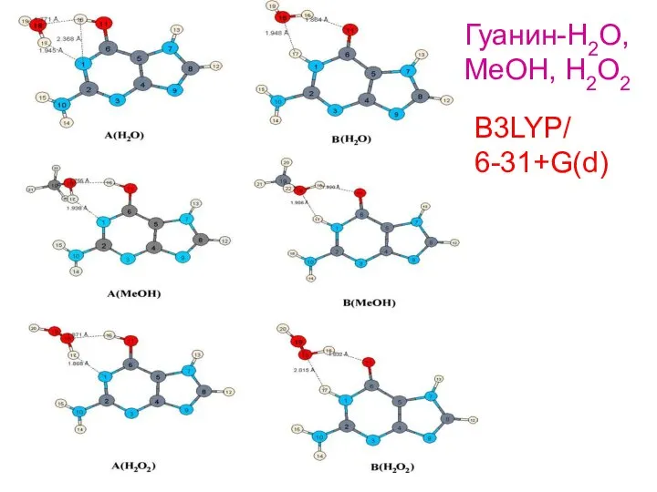 B3LYP/ 6-31+G(d) Гуанин-H2O, MeOH, H2O2