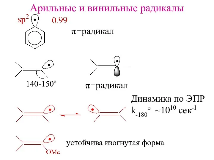 Арильные и винильные радикалы π−радикал 140-150o π−радикал Динамика по ЭПР k-180o ~1010 сек-1 устойчива изогнутая форма