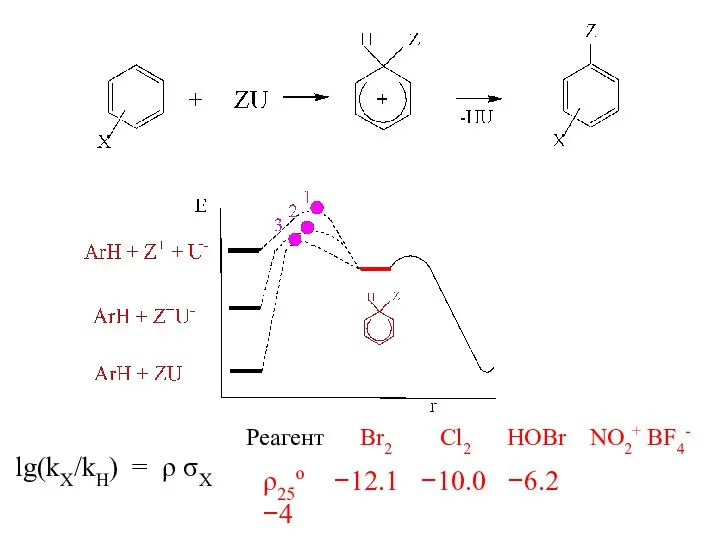 lg(kX/kH) = ρ σX Реагент Br2 Cl2 HOBr NO2+ BF4- ρ25ο −12.1 −10.0 −6.2 −4