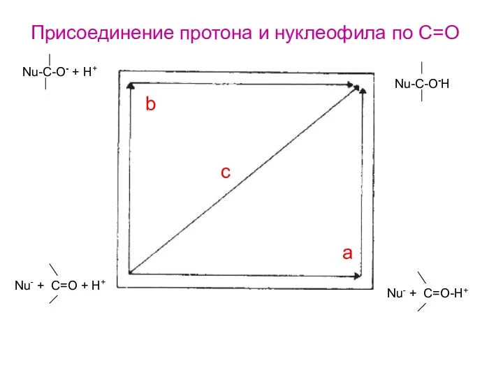 Nu-C-O- + H+ Nu-C-O-H Nu- + C=O + H+ Nu- +