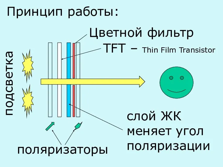 Принцип работы: поляризаторы слой ЖК меняет угол поляризации подсветка TFT – Thin Film Transistor Цветной фильтр