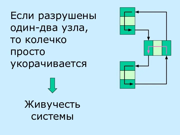 Если разрушены один-два узла, то колечко просто укорачивается Живучесть системы