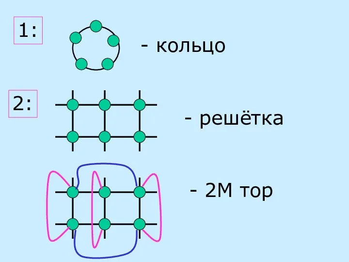 1: - кольцо - решётка - 2М тор 2: