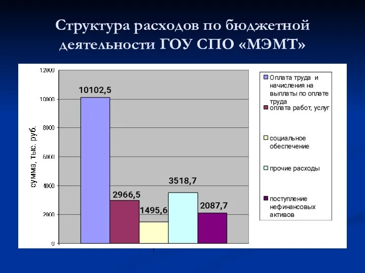 Структура расходов по бюджетной деятельности ГОУ СПО «МЭМТ»