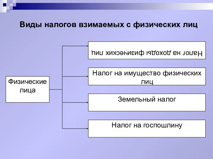 Виды налогов взимаемых с физических лиц