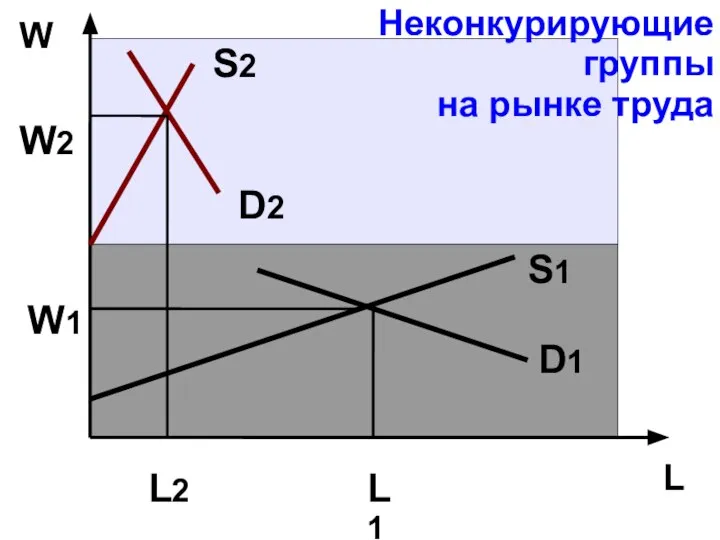 L W D1 S1 S2 D2 W1 L1 W2 L2 Неконкурирующие группы на рынке труда