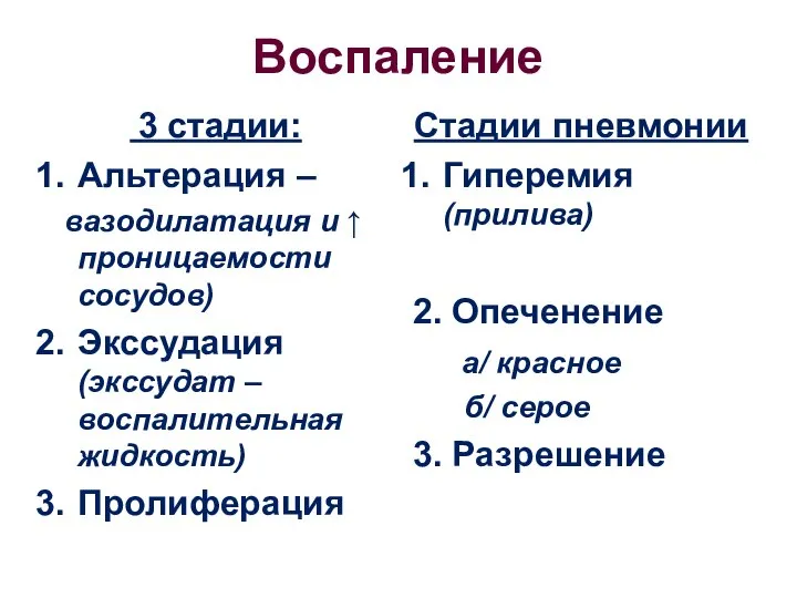 Воспаление 3 стадии: Альтерация – вазодилатация и ↑ проницаемости сосудов) Экссудация