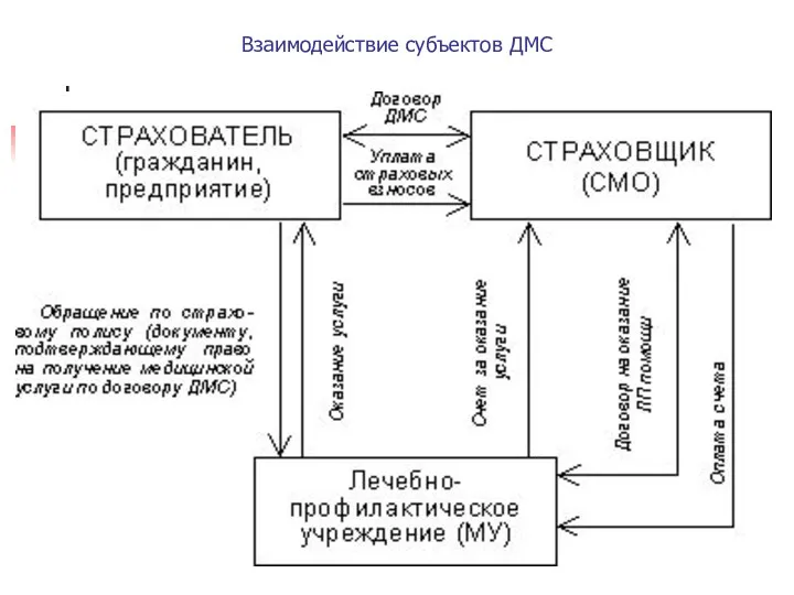 Взаимодействие субъектов ДМС