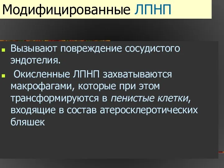 Модифицированные ЛПНП Вызывают повреждение сосудистого эндотелия. Окисленные ЛПНП захватываются макрофагами, которые