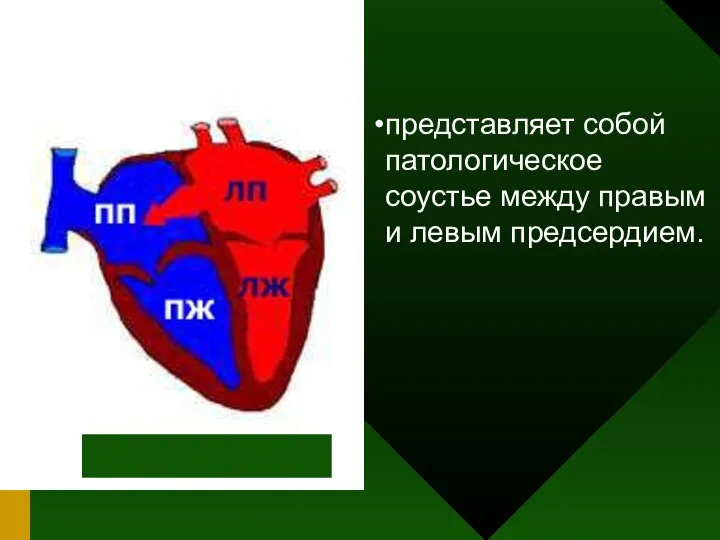 представляет собой патологическое соустье между правым и левым предсердием.