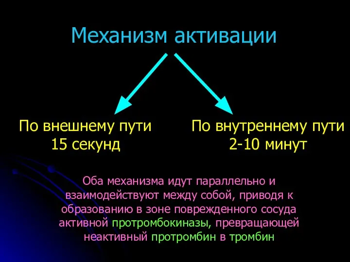 Механизм активации По внешнему пути 15 секунд По внутреннему пути 2-10