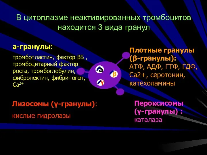 В цитоплазме неактивированных тромбоцитов находится 3 вида гранул а-гранулы: тромбопластин, фактор