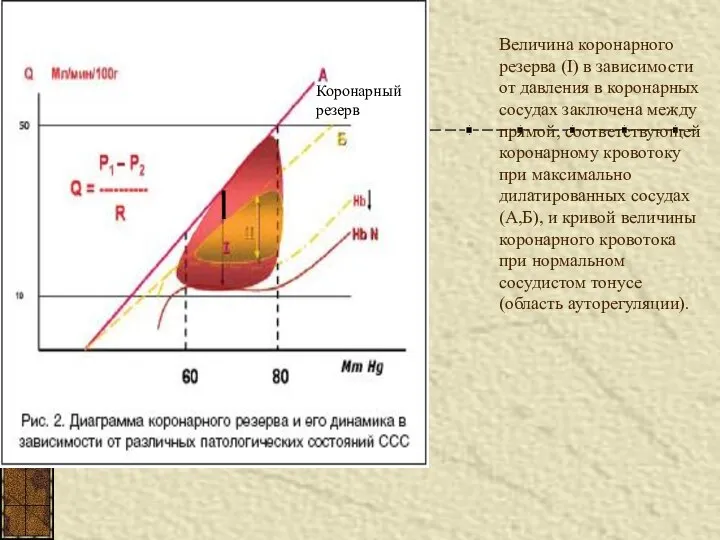 Величина коронарного резерва (I) в зависимости от давления в коронарных сосудах