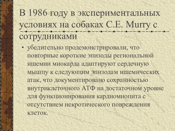 В 1986 году в экспериментальных условиях на собаках C.E. Murry с