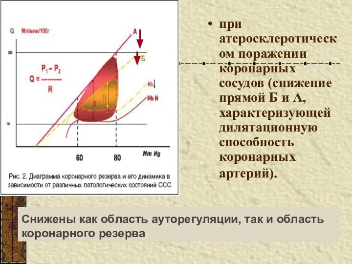 Снижены как область ауторегуляции, так и область коронарного резерва при атеросклеротическом