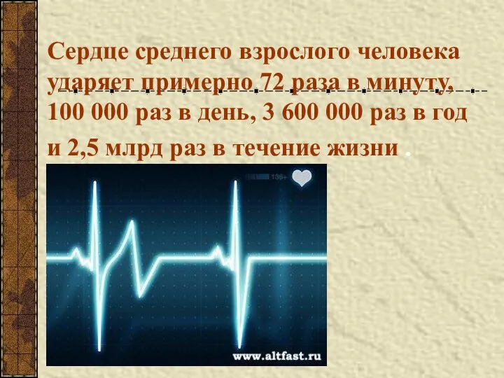 Сердце среднего взрослого человека ударяет примерно 72 раза в минуту, 100