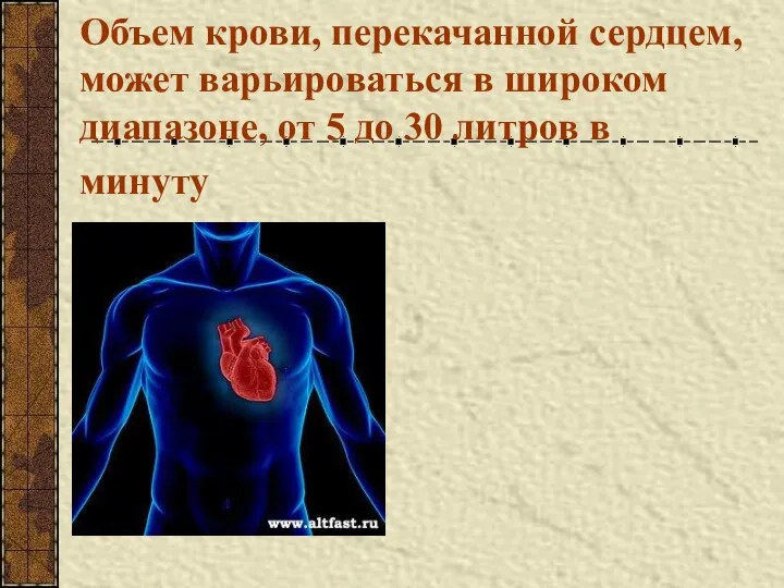 Объем крови, перекачанной сердцем, может варьироваться в широком диапазоне, от 5 до 30 литров в минуту