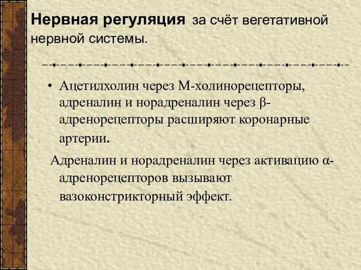 Нервная регуляция за счёт вегетативной нервной системы. Ацетилхолин через М-холинорецепторы, адреналин