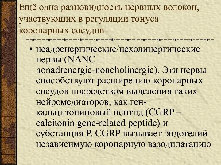 Ещё одна разновидность нервных волокон, участвующих в регуляции тонуса коронарных сосудов