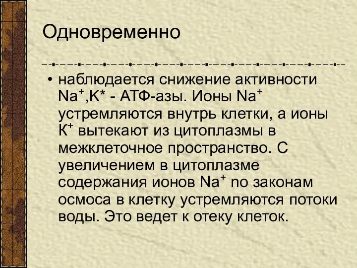 Одновременно наблюдается снижение активности Na+,K* - АТФ-азы. Ионы Na+ устремляются внутрь