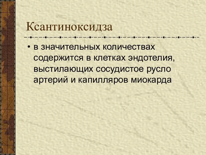 Ксантиноксидза в значительных количествах содержится в клетках эндотелия, выстилающих сосудистое русло артерий и капилляров миокарда