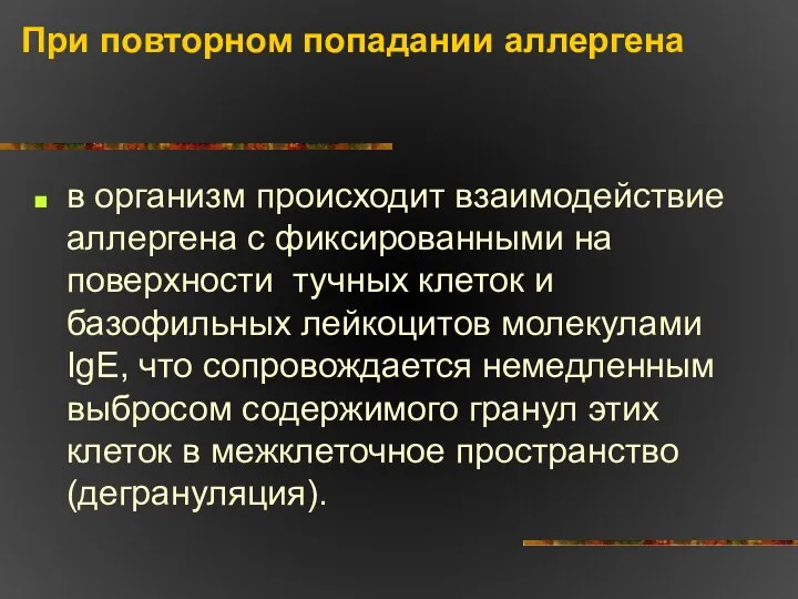 При повторном попадании аллергена в организм происходит взаимодействие аллергена с фиксированными