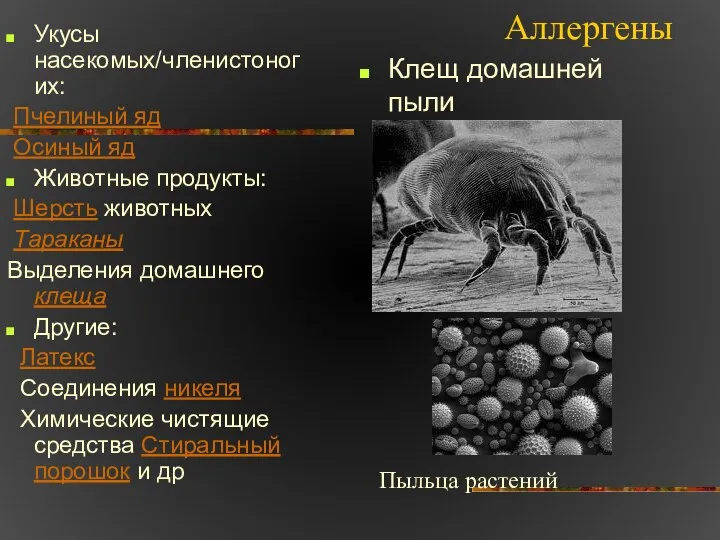 Аллергены Укусы насекомых/членистоногих: Пчелиный яд Осиный яд Животные продукты: Шерсть животных