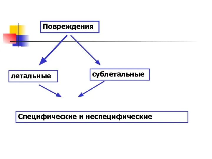 Повреждения летальные сублетальные Специфические и неспецифические