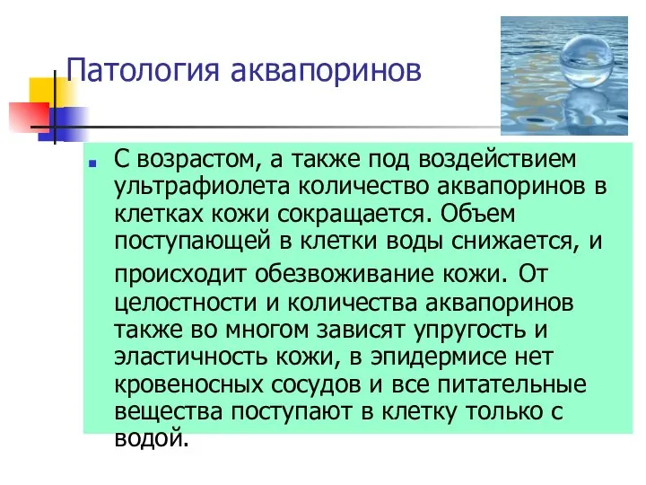 Патология аквапоринов С возрастом, а также под воздействием ультрафиолета количество аквапоринов