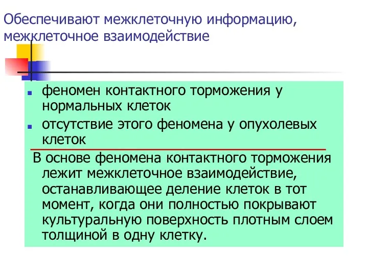 Обеспечивают межклеточную информацию, межклеточное взаимодействие феномен контактного торможения у нормальных клеток