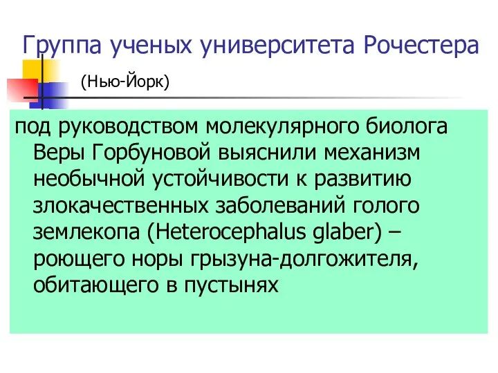 Группа ученых университета Рочестера под руководством молекулярного биолога Веры Горбуновой выяснили