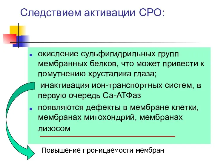 Следствием активации СРО: окисление сульфигидрильных групп мембранных белков, что может привести